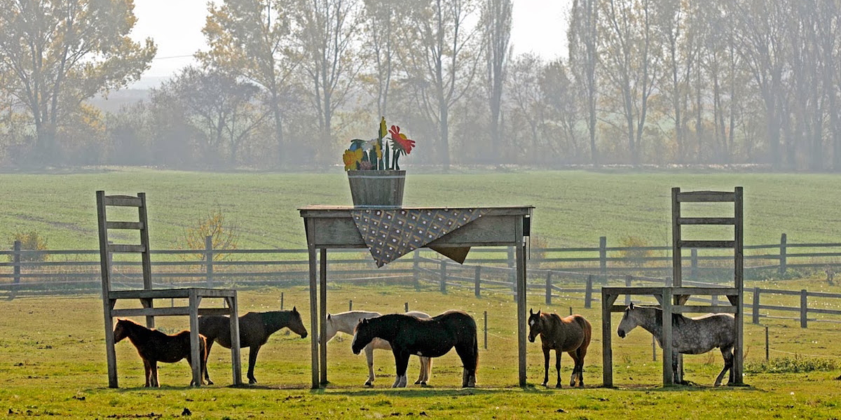 paarden-tafel-1200x600